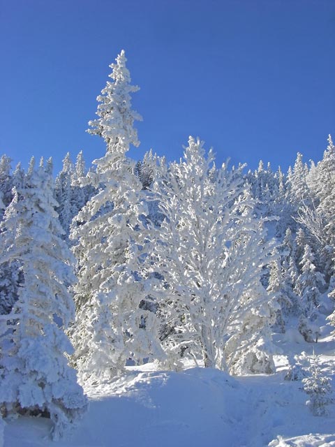 bei der Bergstation der Panoramabahn
