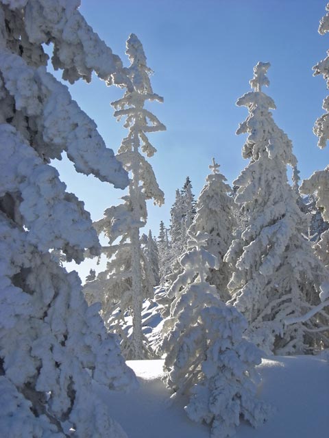 bei der Bergstation der Panoramabahn