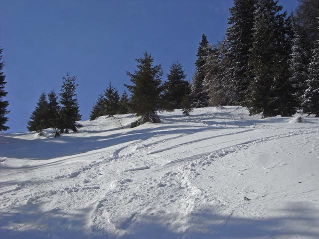 freies Gel&auml;nde bei den Gaibergliften