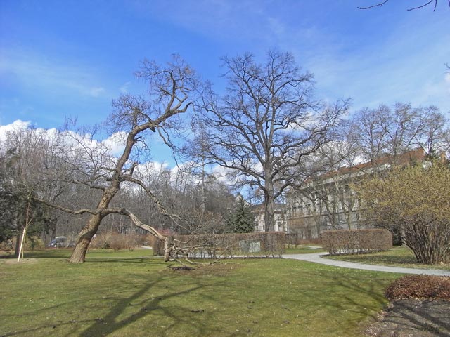 Stadtpark (15. M&auml;rz)