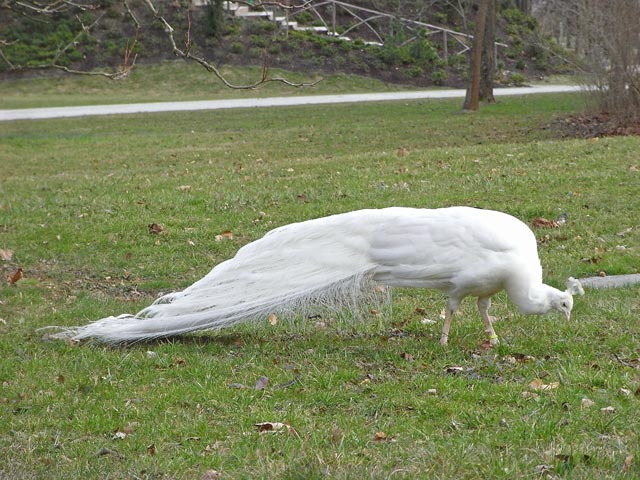 Schlo&szlig; Eggenberg (15. M&auml;rz)