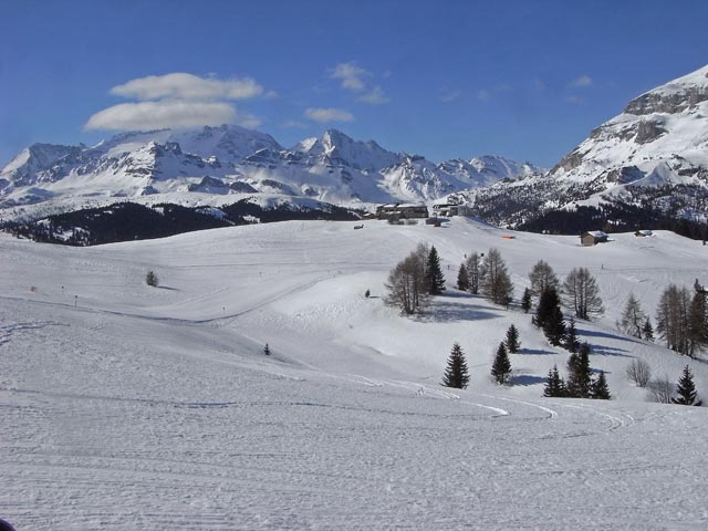 Braia Freida (22. M&auml;rz)