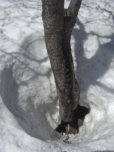 im freien Gel&auml;nde s&uuml;dlich des Steilhangs