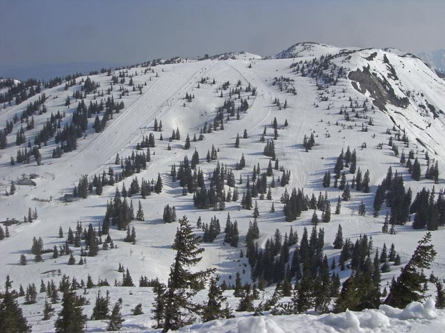 Leckerplan vom H&auml;sing aus