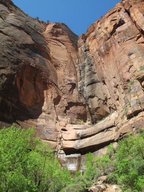 Zion Canyon im Zion National Park (6. Mai)