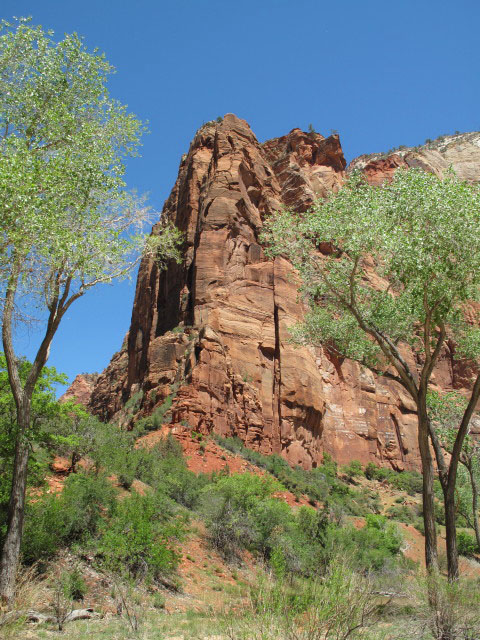 Zion Canyon im Zion National Park (6. Mai)