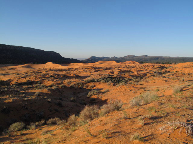 Coral Pink Sand Dunes State Park (7. Mai)