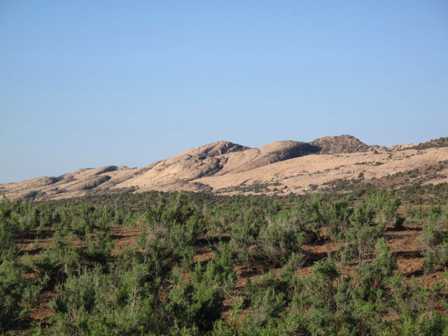 Comb Ridge (10. Mai)