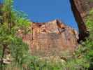 Zion Canyon im Zion National Park (6. Mai)