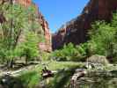 Zion Canyon im Zion National Park (6. Mai)