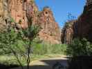 Zion Canyon im Zion National Park (6. Mai)