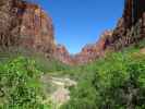 Zion Canyon im Zion National Park (6. Mai)