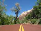 Zion Canyon Scenic Drive im Zion National Park (6. Mai)