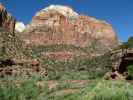 The East Temple im Zion National Park (6. Mai)