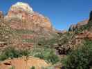 Zion - Mount Carmel Highway im Zion National Park (6. Mai)