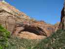 The Great Arch im Zion National Park (6. Mai)