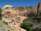 neben dem Zion - Mount Carmel Highway im Zion National Park (6. Mai)