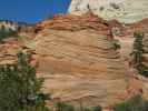 neben dem Zion - Mount Carmel Highway im Zion National Park (6. Mai)