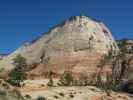 Checkerboard Mesa im Zion National Park (6. Mai)