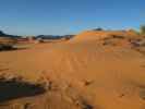 Coral Pink Sand Dunes State Park (7. Mai)