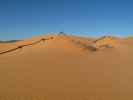 Coral Pink Sand Dunes State Park (7. Mai)