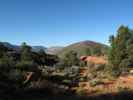 neben dem Toroweap Overlook Jeep Trail im Grand Canyon National Park (8. Mai)