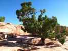 Toroweap Overlook im Grand Canyon National Park (8. Mai)