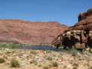 Colorado River bei Lees Ferry (8. Mai)