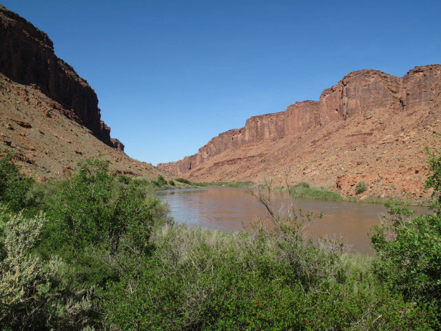 Colorado River zwischen Grand Junction und Moab (11. Mai)