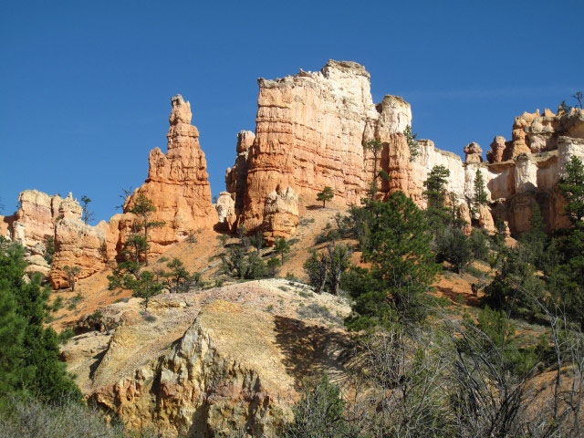 Pink Cliffs im Bryce Canyon National Park (15. Mai)