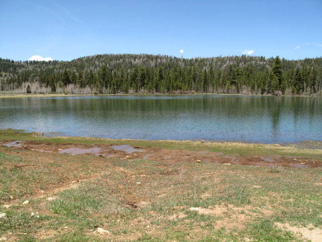 Duck Creek Reservoir (15. Mai)