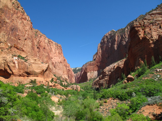 Kolob Canyons im Zion National Park (15. Mai)