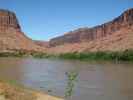 Colorado River zwischen Grand Junction und Moab (11. Mai)