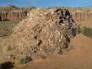 Glas Mountain im Capitol Reef National Park (14. Mai)