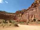 Capitol Gorge im Capitol Reef National Park (14. Mai)