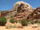 Capitol Gorge im Capitol Reef National Park (14. Mai)