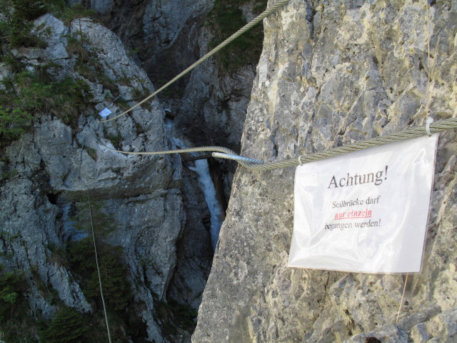 Rongg-Wasserfall-Klettersteig: Seilbrücke
