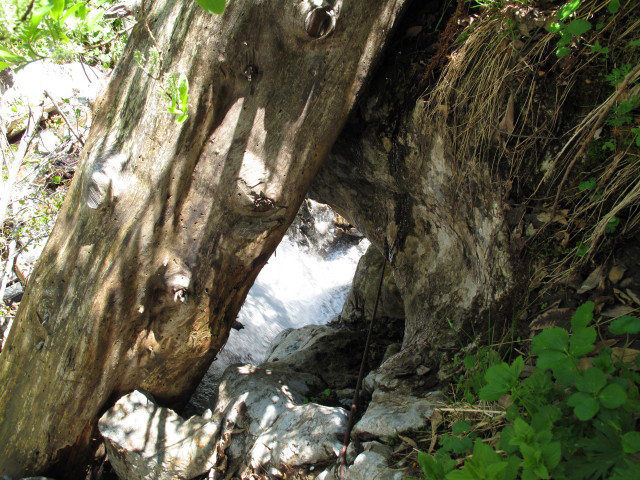 Röbischlucht-Klettersteig