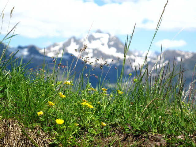 zwischen Innergweilalpe und Außergweilalpe