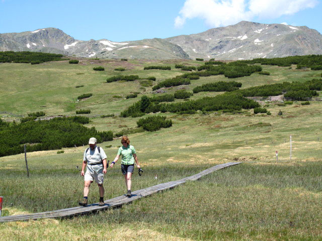 Weg 1 auf der Rafuschgelalm (12. Juni)