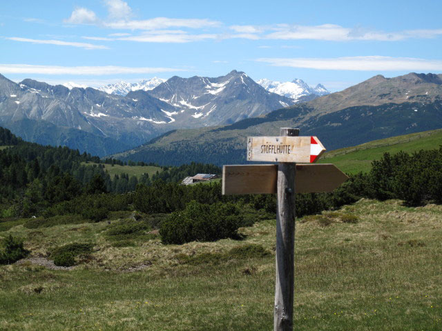 Weg 1 zwischen Rafuschgelalm und Freiner Wiesen (12. Juni)