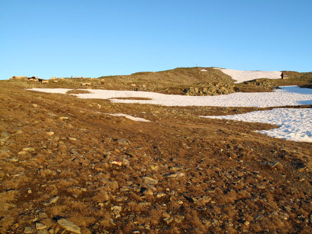 Blankenhorn, 2.575 m (13. Juni)