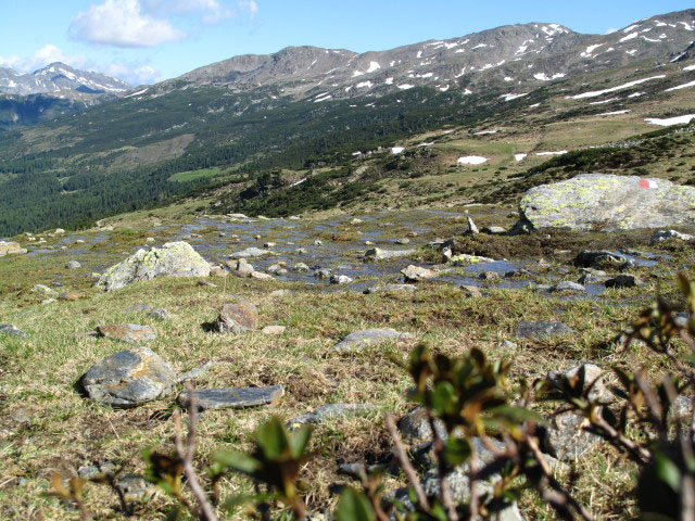 Weg 5 zwischen Fortschellscharte und Innerhütten (13. Juni)