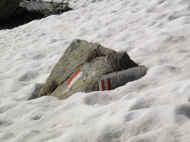 Weg 13 zwischen Flaggerschartenhütte und Traminbach (14. Juni)