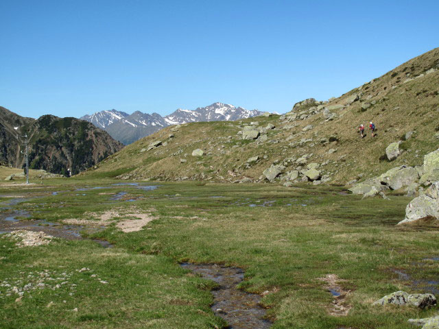 Weg 13A zwischen Distelsee und Seebergalm (14. Juni)
