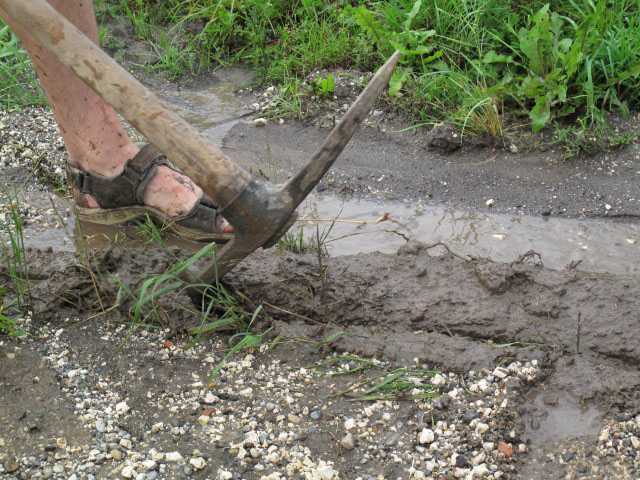 zwischen Niederleis und Grafensulz