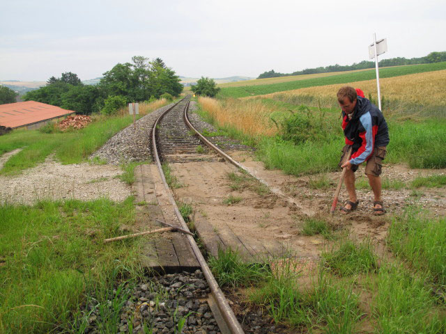 Gerold zwischen Schletz und Asparn an der Zaya