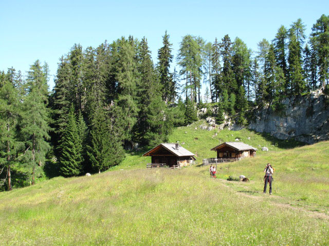 Weißsteinalm (13. Juli)