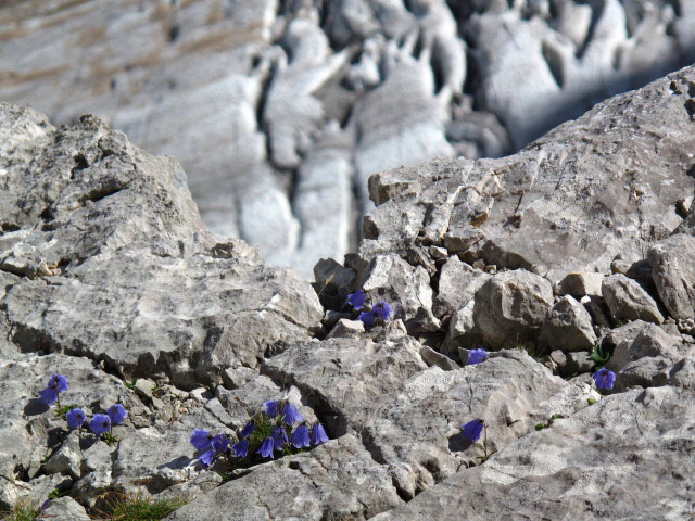 neben dem H&ouml;llental-Klettersteig