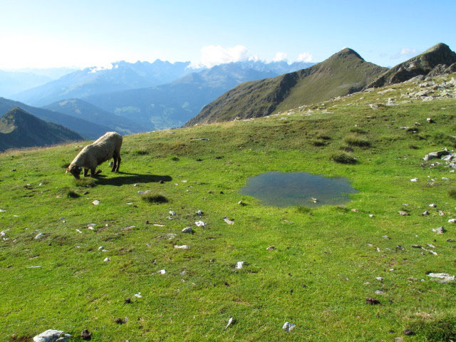 Ochsenalmtörl, 2.456 m (30. Aug.)